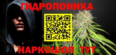 сатива Нарткала