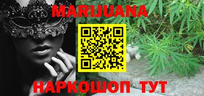 мдпв Новозыбков